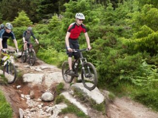 Choosing the Perfect Trek Mountain Bike